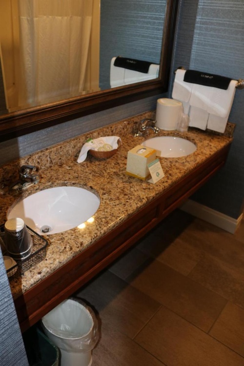 The Village Inn image 15