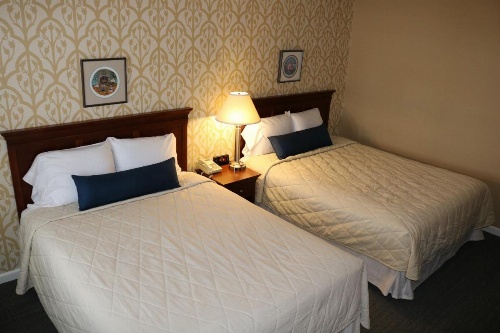 The Village Inn image 16