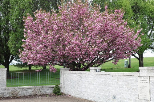 The Village Inn image 20