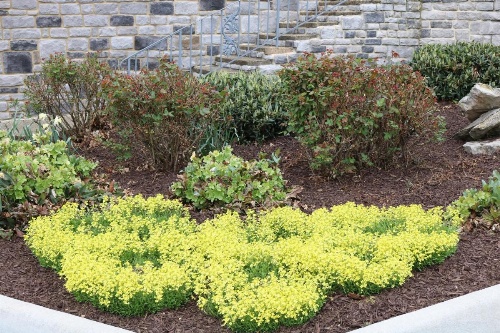 The Village Inn image 22