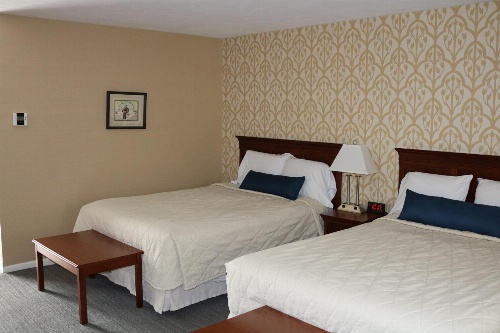 The Village Inn image 4