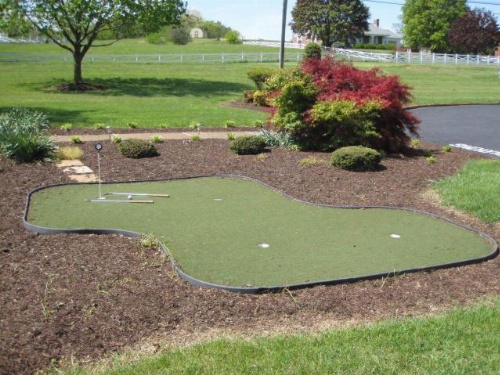 The Village Inn image 48